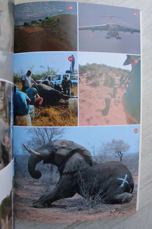 Pilot in the wild - Flights of conservation and survival  / John Bassi