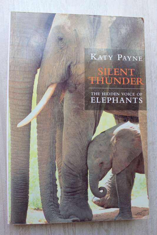 Silent Thunder - The Hidden Voice Of Elephants - Katy Payne