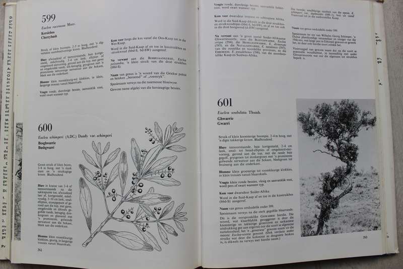 Suid-Kaapse Bosse en Bome - Von Breitenbach