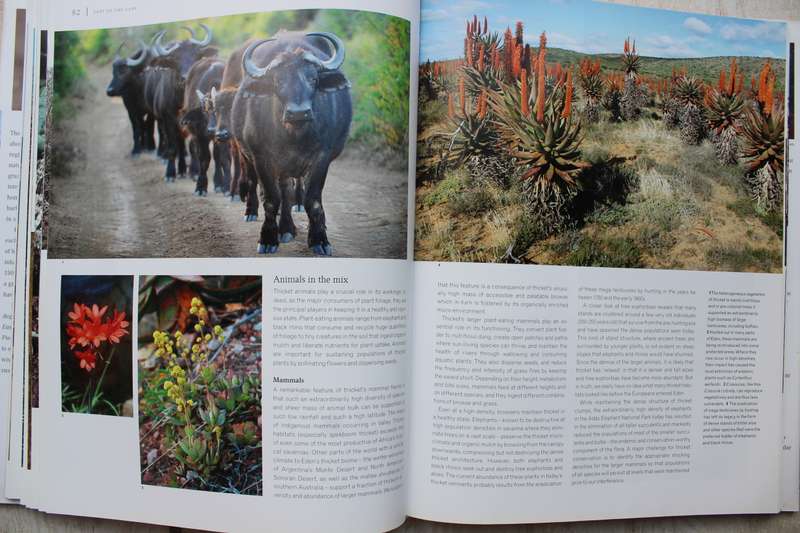 East of the Cape-  Conserving Eden / Richard Cowling & Shirley Pierce