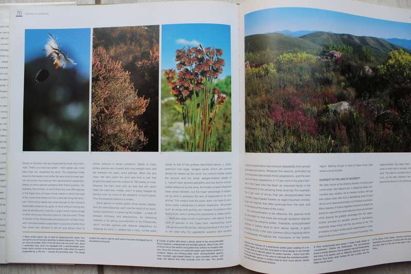 Fynbos. South Africa's unique floral kingdom. Richard Cowling, Dave Richardson