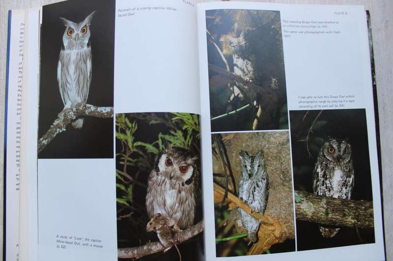 A delight of Owls. African Owls observed. Peter Steyn