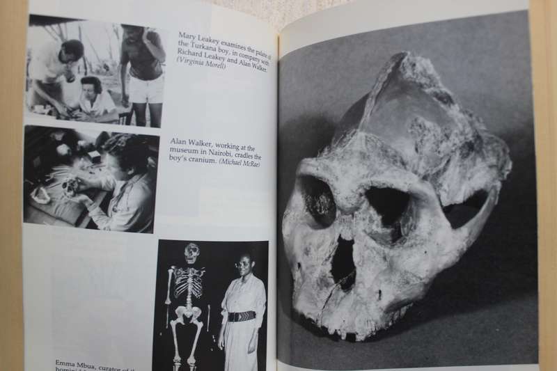Origins Reconsidered - Richard Leakey & Roger Lewin