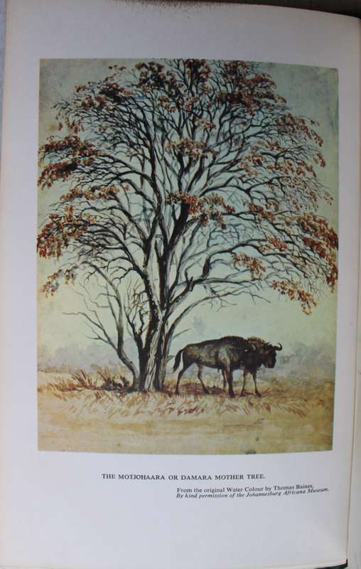 Explorations in South-West Africa -  Thomas Baines
