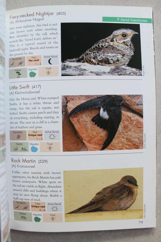 ANIMALS of Pilansbeg an identification guide B. Cillie, U Oberprieler , C Joubert