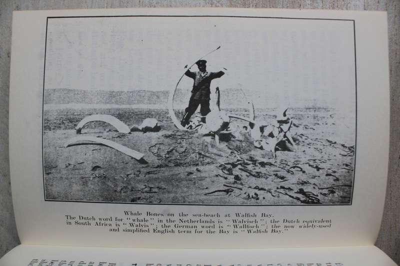 The Destiny of Walfish Bay - William Macdonald