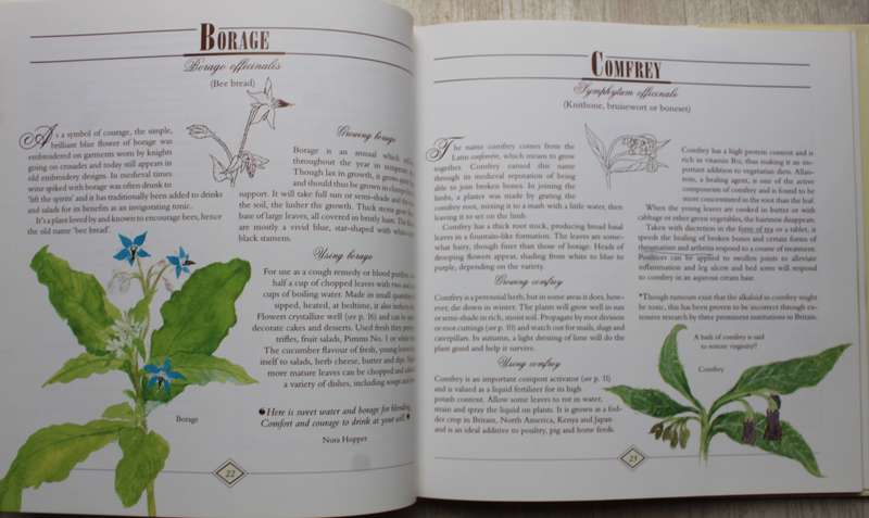A Celebration of Herbs: for the South African garden & home  Barbara Hey