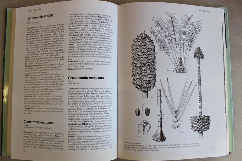 Cycads of the World - Jones / Ancient Plants in Today's Landscape