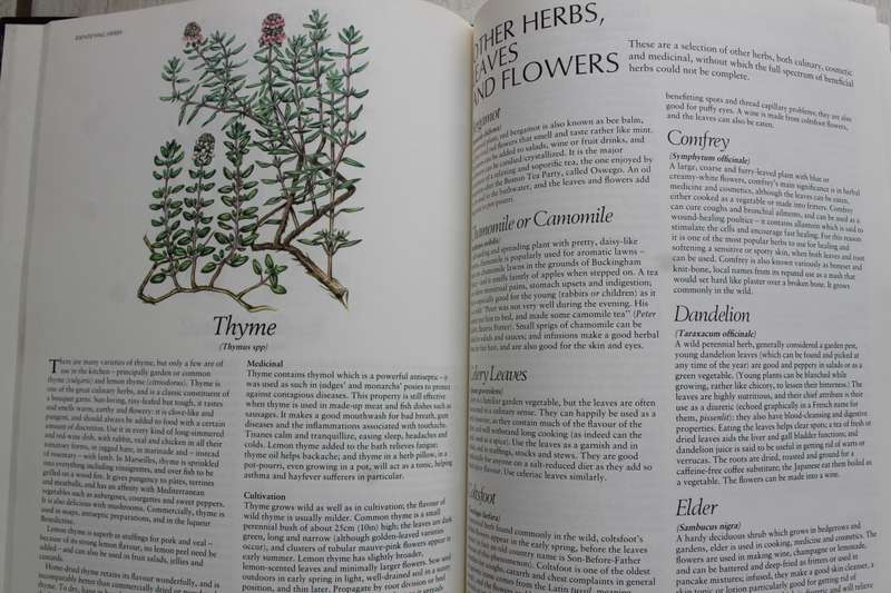Complete guide to Herbs - Fleming