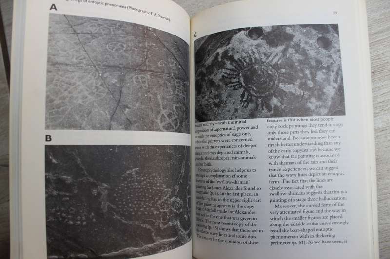 Discovering Southern African Rock Art - J.D. Lewis-Williams