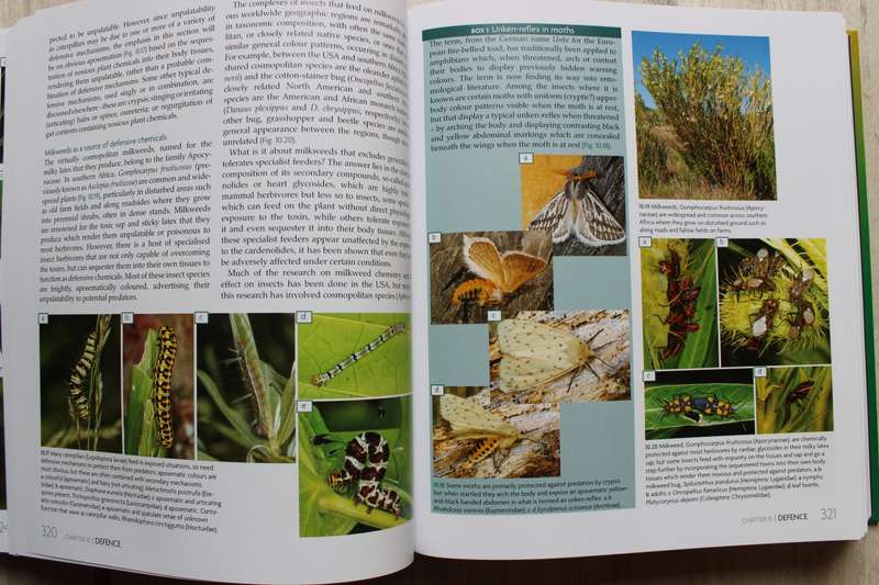 Biology, ecological importance and diversity of Southern African insects -  Scholtz & De Klerk