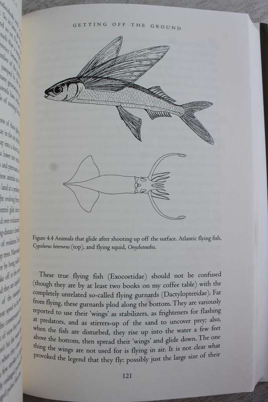 Climbing Mount Improbable - Richard Dawkins