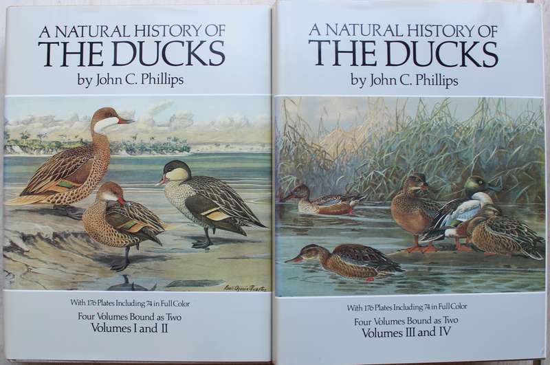 A Natural History of Ducks - John Phillips