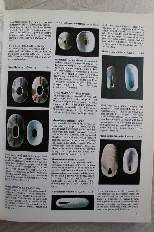 The Collectors Encyclopedia of Shells / Peter Dance