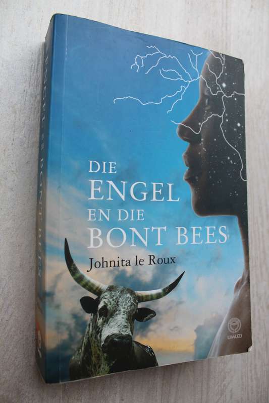 Die engel en die bont bees - Johnita le Roux