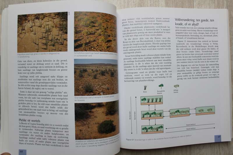 Karooveld Ekologie en Bestuur / Esler & Milton