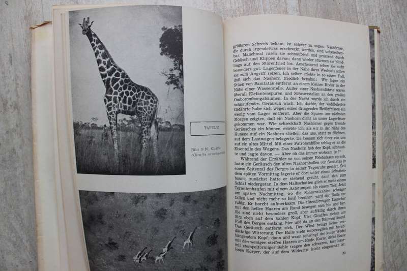 Tiere im Veld / Gaerdes