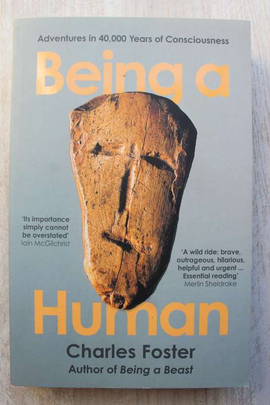 Being a Human: Adventures in 40,000 Years of Consciousness - Charles Foster