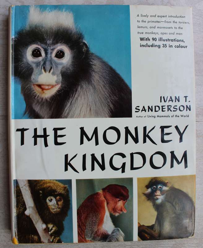 The monkey kingdom: an introduction to the primates - Sanderson