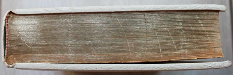 Large Holy Bible Authorized King James Version