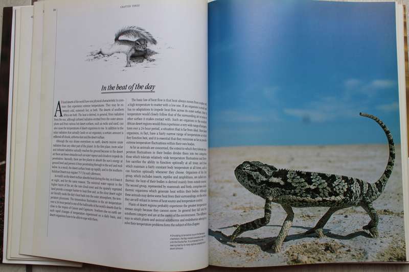 The Living Deserts of Southern Africa - Barry Lovegrove