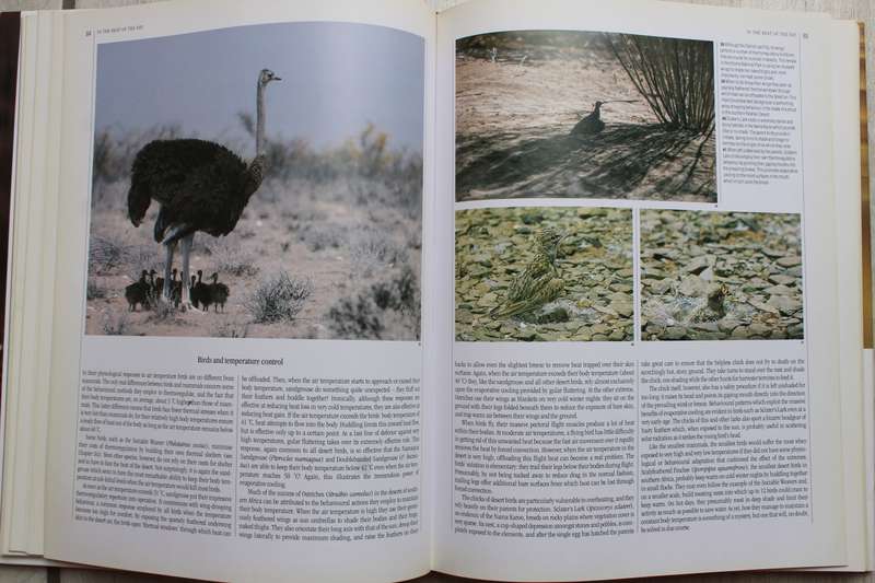 The Living Deserts of Southern Africa - Barry Lovegrove