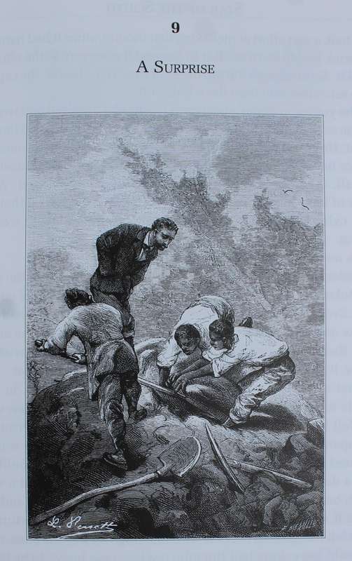 Star of the South - Jules Verne - Translated by Stephen Gray