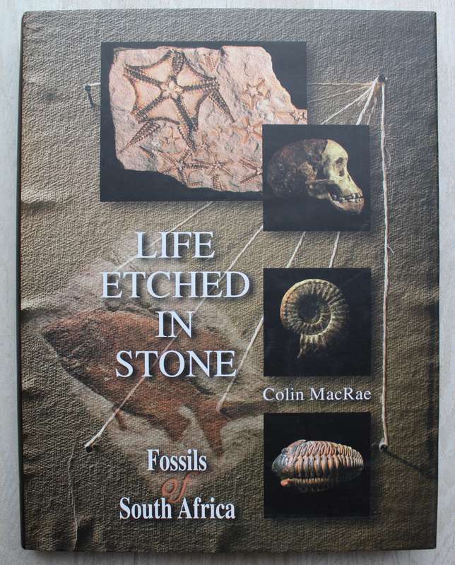 LIFE ETCHED IN STONE - FOSSILS OF SOUTH AFRICA /  COLIN MACRAE