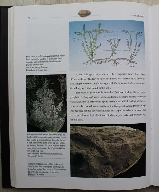 LIFE ETCHED IN STONE - FOSSILS OF SOUTH AFRICA /  COLIN MACRAE