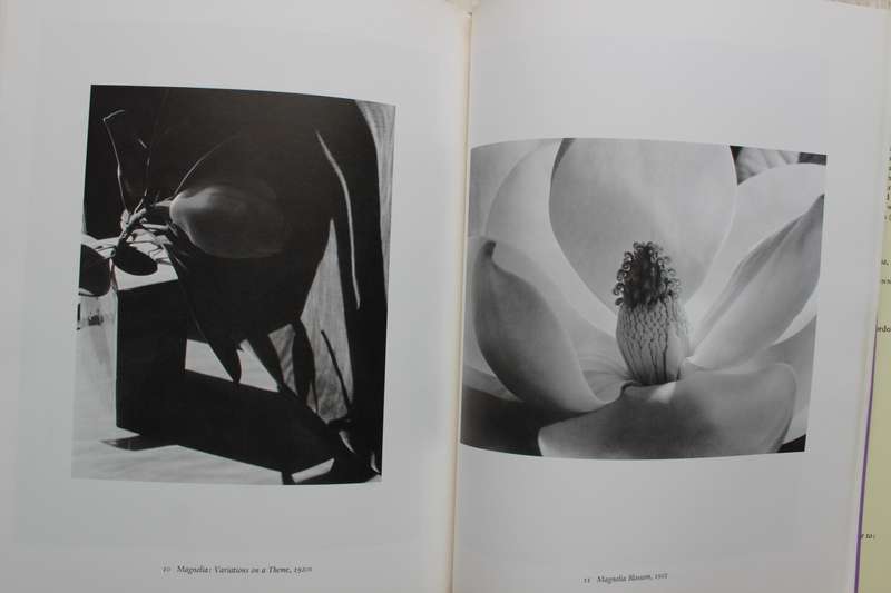 Imogen Cunningham: A Portrait - Dater, Judy