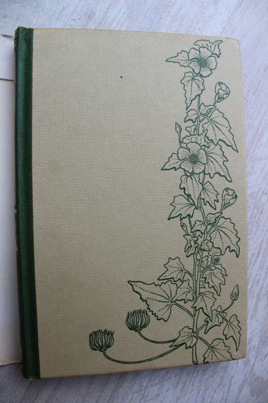 The Wild Flowers of Southern Africa - Natal, a pocket guide / Wright