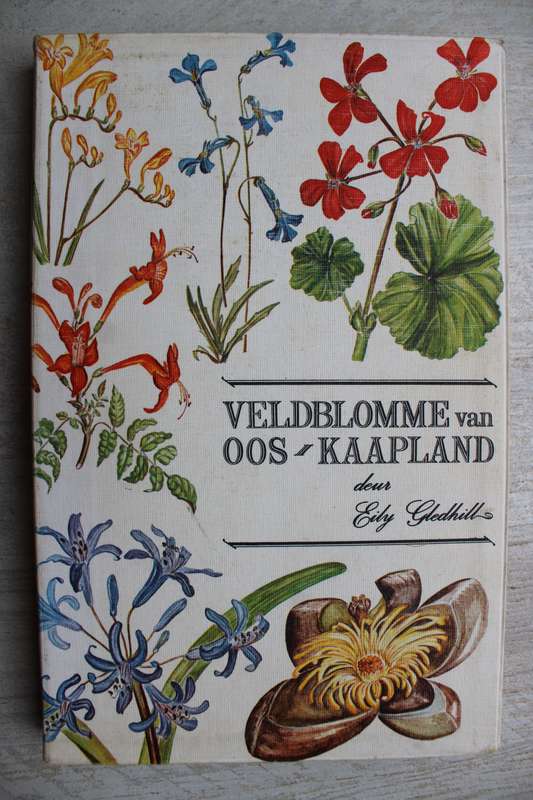 VELDBLOMME VAN OOS-KAAPLAND deur Eily Gledhill
