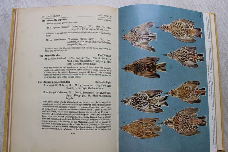 Check list of the birds of Bechuanaland Protectorate and Caprivi Strip / Smithers