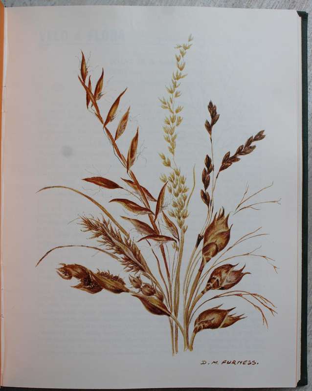 Veld and Flora in leather binding