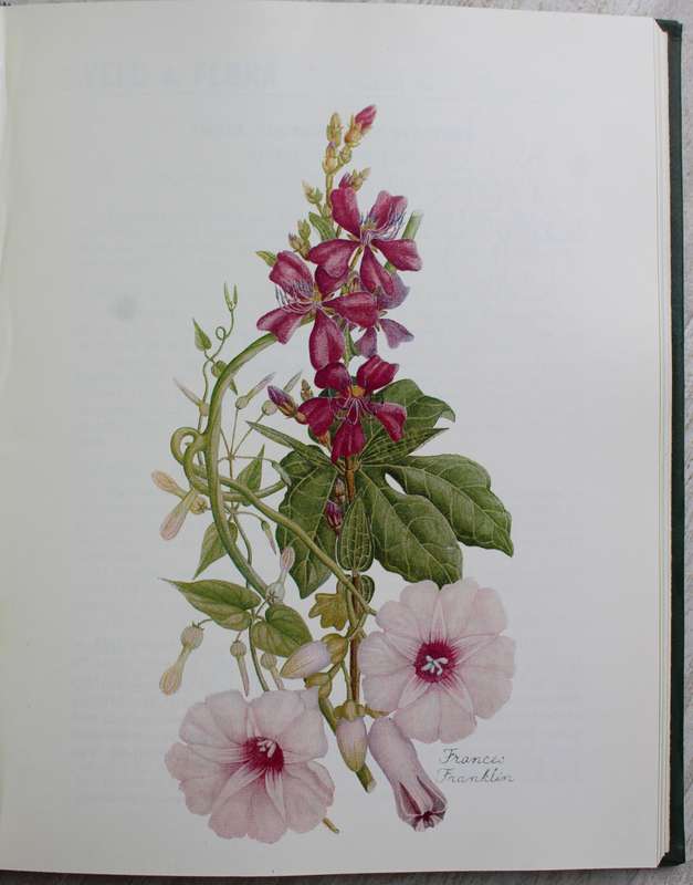 Veld and Flora in leather binding