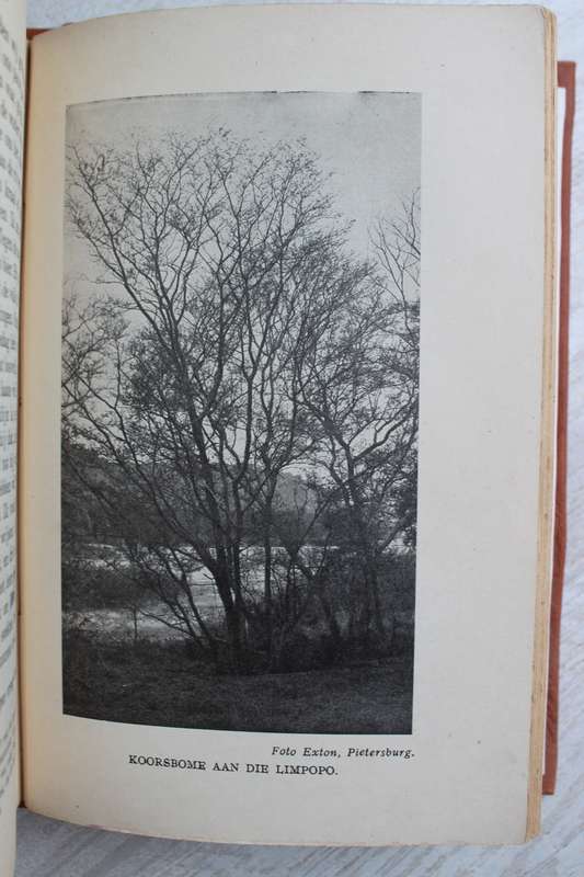 Die Dagboek van Louis Trigardt 1836-1838 - Preller, Gustav S.