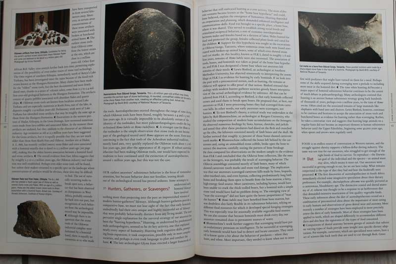 From Lucy To Language - Johanson & Edgar