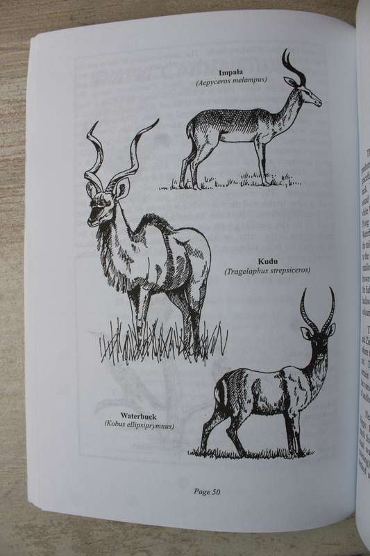 Victoria Falls information guide