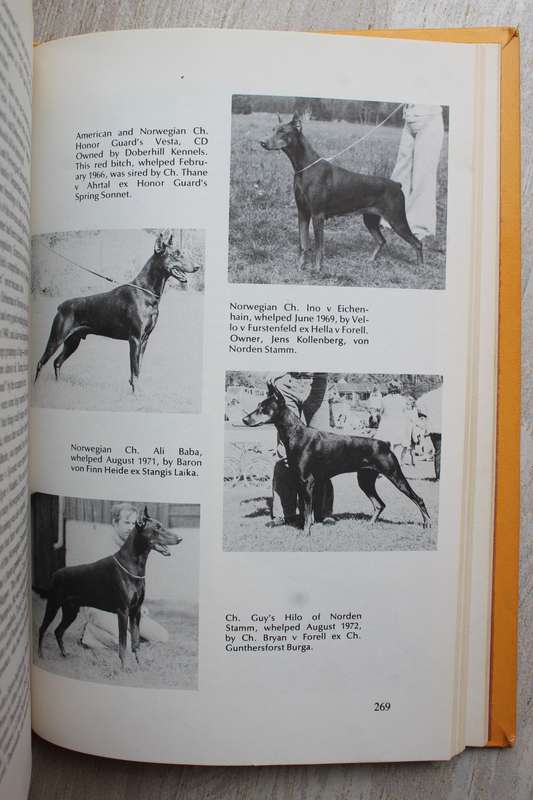 The New Doberman Pinschers - Joanna Walker