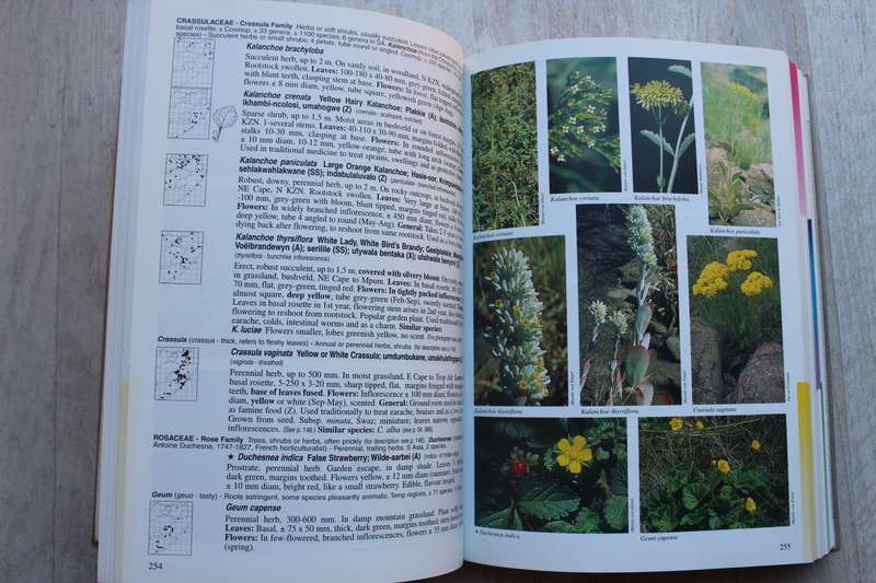 A Field Guide to Wild Flowers Kwazulu Natal & Eastern Region -  Elsa Pooley