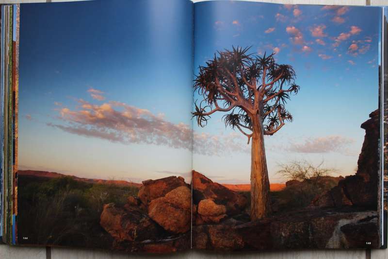 South Africa - Michael Poliza & Friends