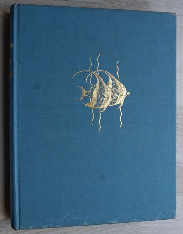 Smith's Sea Fishes - Professor J L B Smith