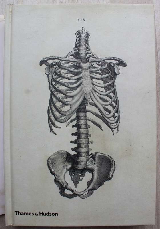 Human Anatomy: Depicting the Body from the Renaissance to Today  - Rifkin