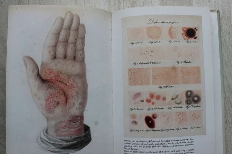 Human Anatomy: Depicting the Body from the Renaissance to Today  - Rifkin