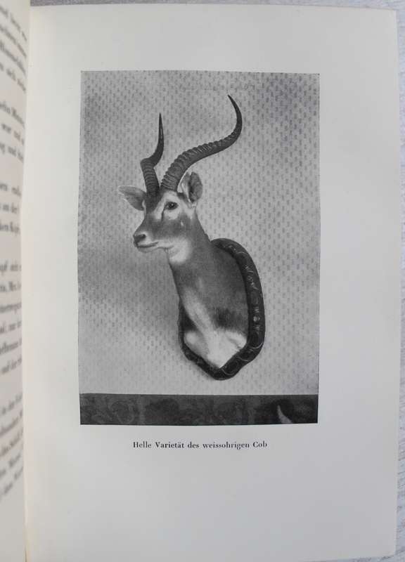 Jagden am Oberen Nil - Berthold Kortin  /  Hunting
