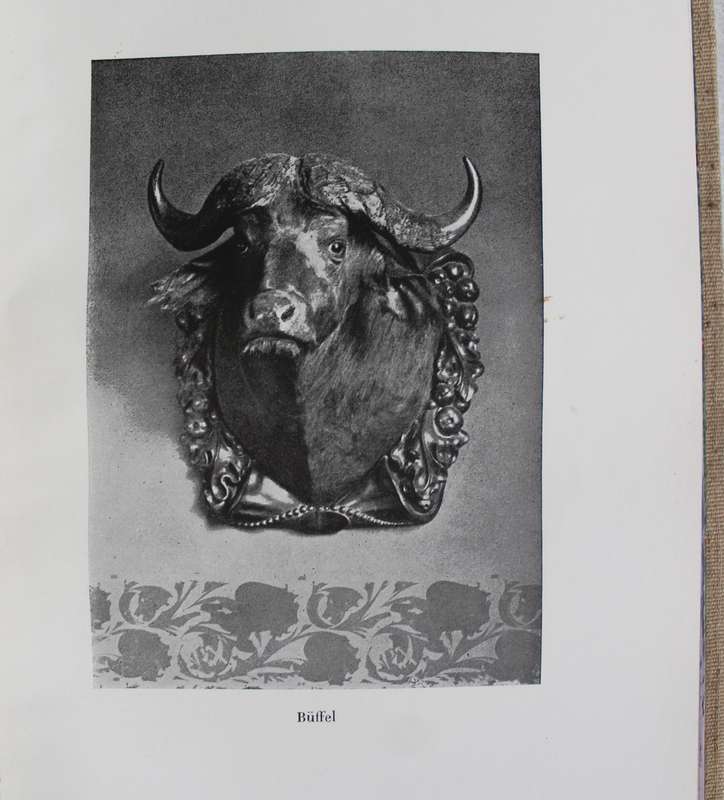 Jagden am Oberen Nil - Berthold Kortin  /  Hunting