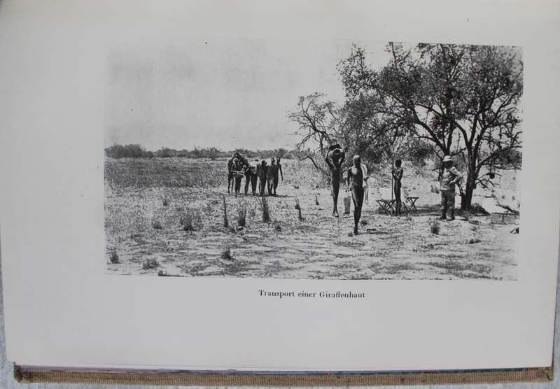 Jagden am Oberen Nil - Berthold Kortin  /  Hunting