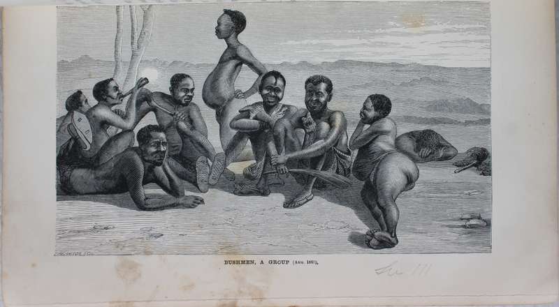 Explorations in South-West Africa -  Thomas Baines