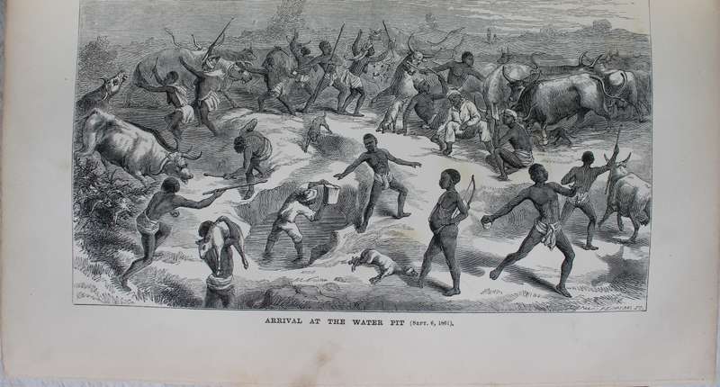 Explorations in South-West Africa -  Thomas Baines