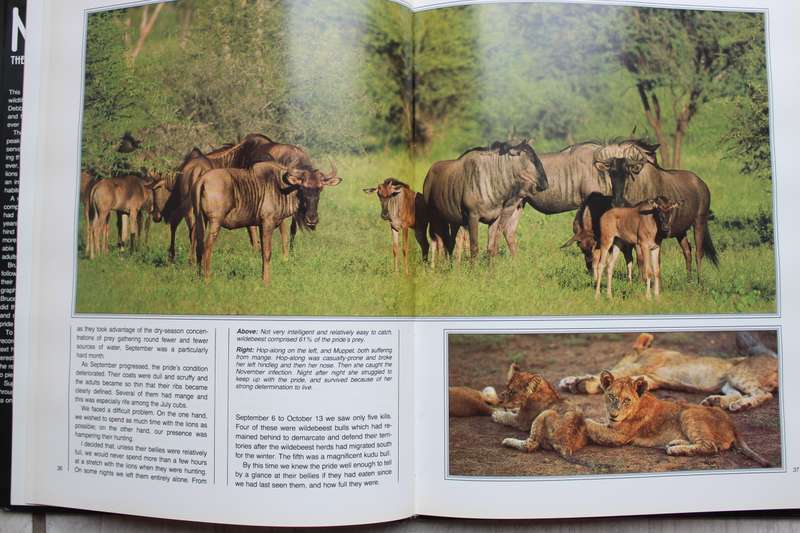 Nightstalk: The Story of a Kruger Pride ~ Bruce Aiken